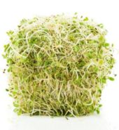 Alfafa Sprout /Bag