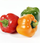 Capsicum Mix Colours /Bag