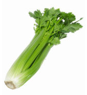 Celery /EA