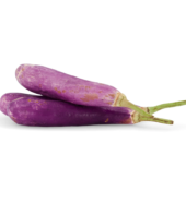 Long Eggplant