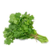 Coriander /Bag