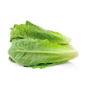 Cos Lettuce /Bag