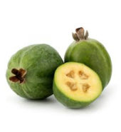 Feijoa /KG