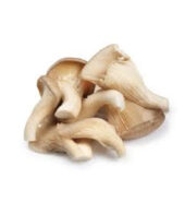 Fresh Oyster Mushroom 200G /Tray