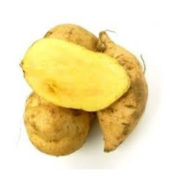 NZ Gold Kumara 800g /Bag