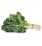 Silverbeet /EA