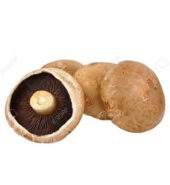 Portobello Mushroom / Bag