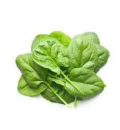 Spinach Leave 300g /Bag