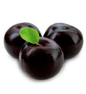 Black Plum