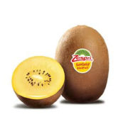 NZ Gold Kiwifruit 1KG /Bag