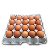 Jumbo EGG 20 / Pack