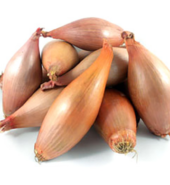 Shallot / KG