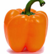 Capsicum Orange / EA