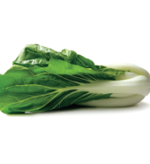 Cantonese Bok Choy / EA