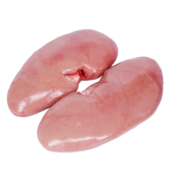 Pork Kidney / EA